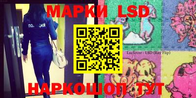 PSILOCYBIN Северобайкальск